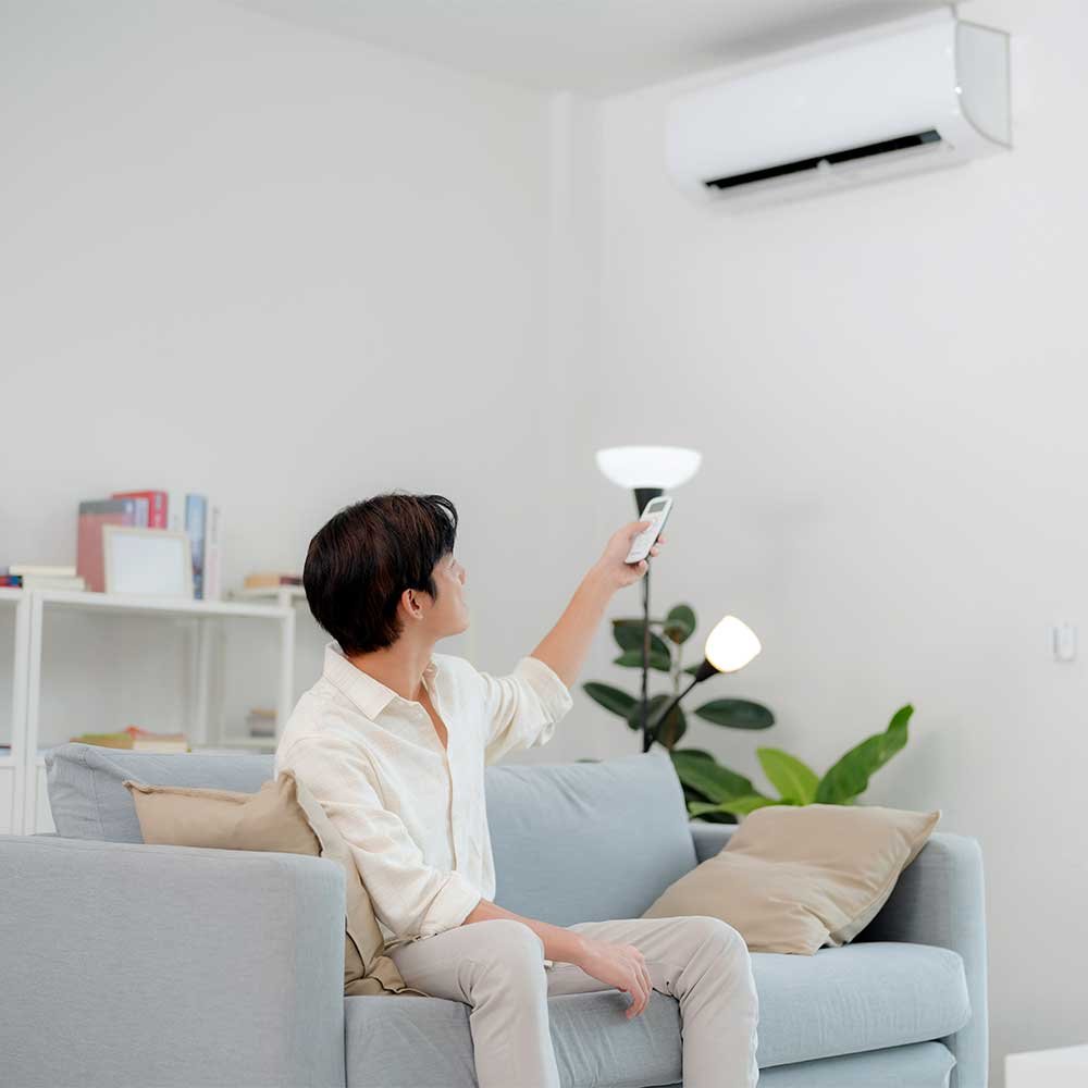 Indoor air quality equipment including a purifier and dehumidifier