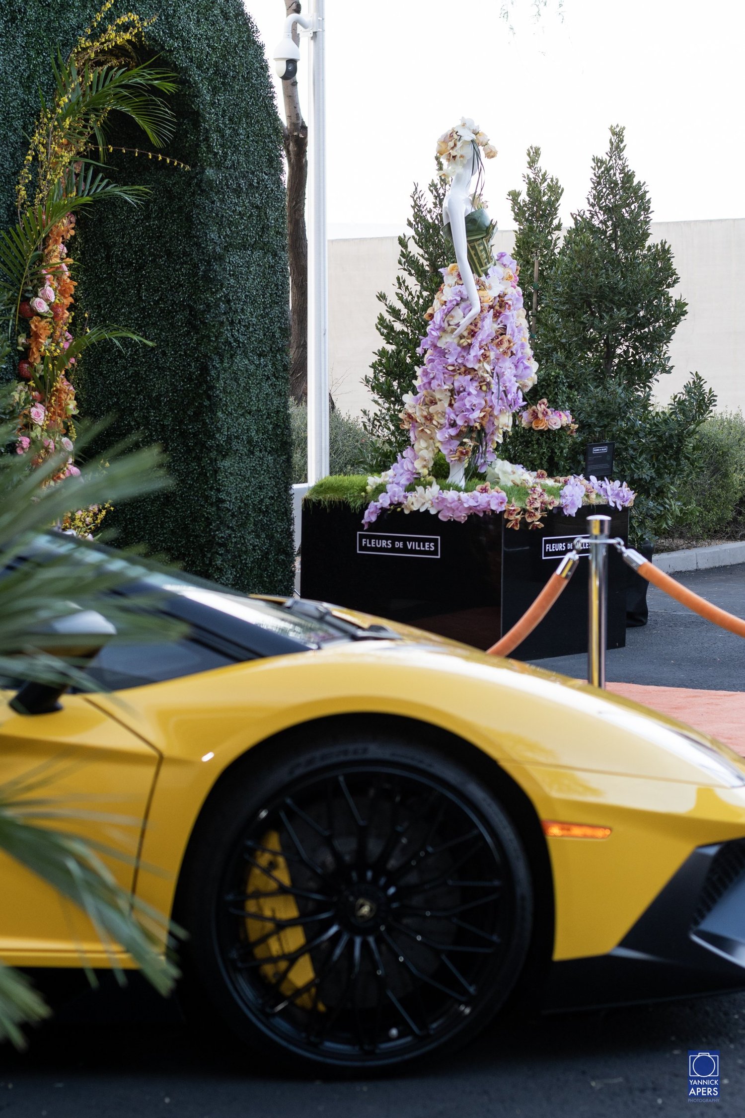 The Ritz-Carlton Paradise Valley, The Palmeraie Opening Party